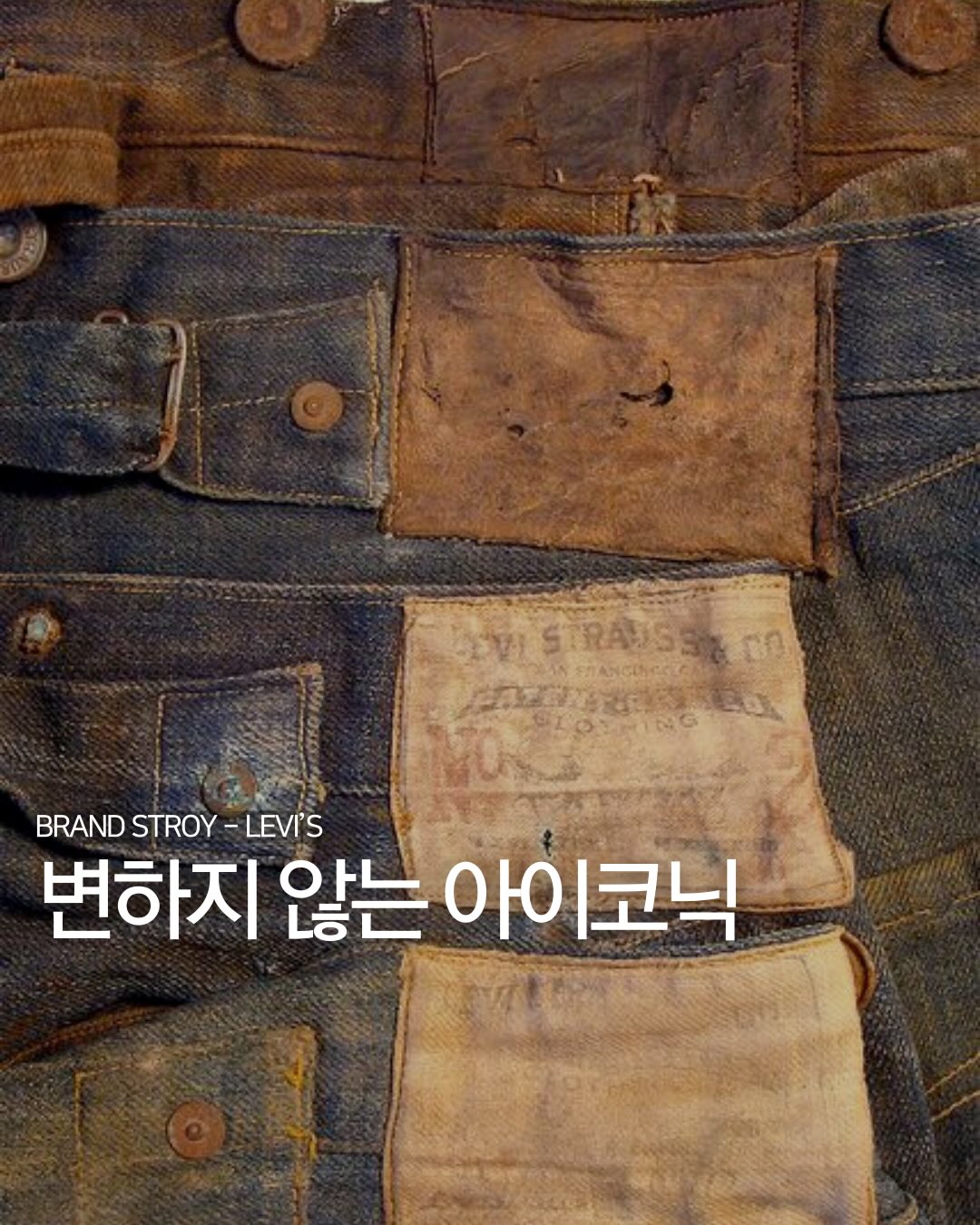 변하지 않는 아이코닉