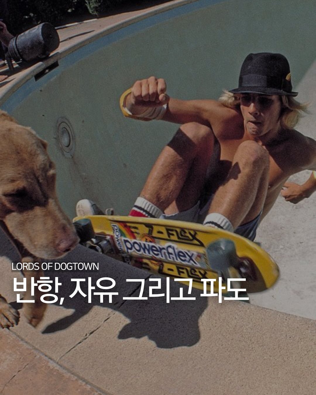 반항, 자유 그리고 파도